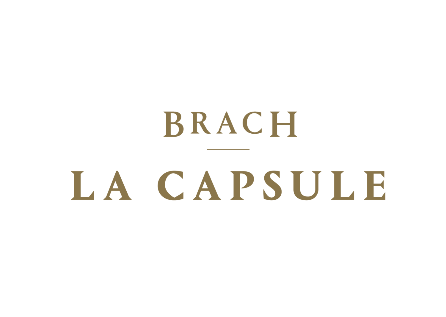 BRACH TYPE LA CAPSULE PRINT C